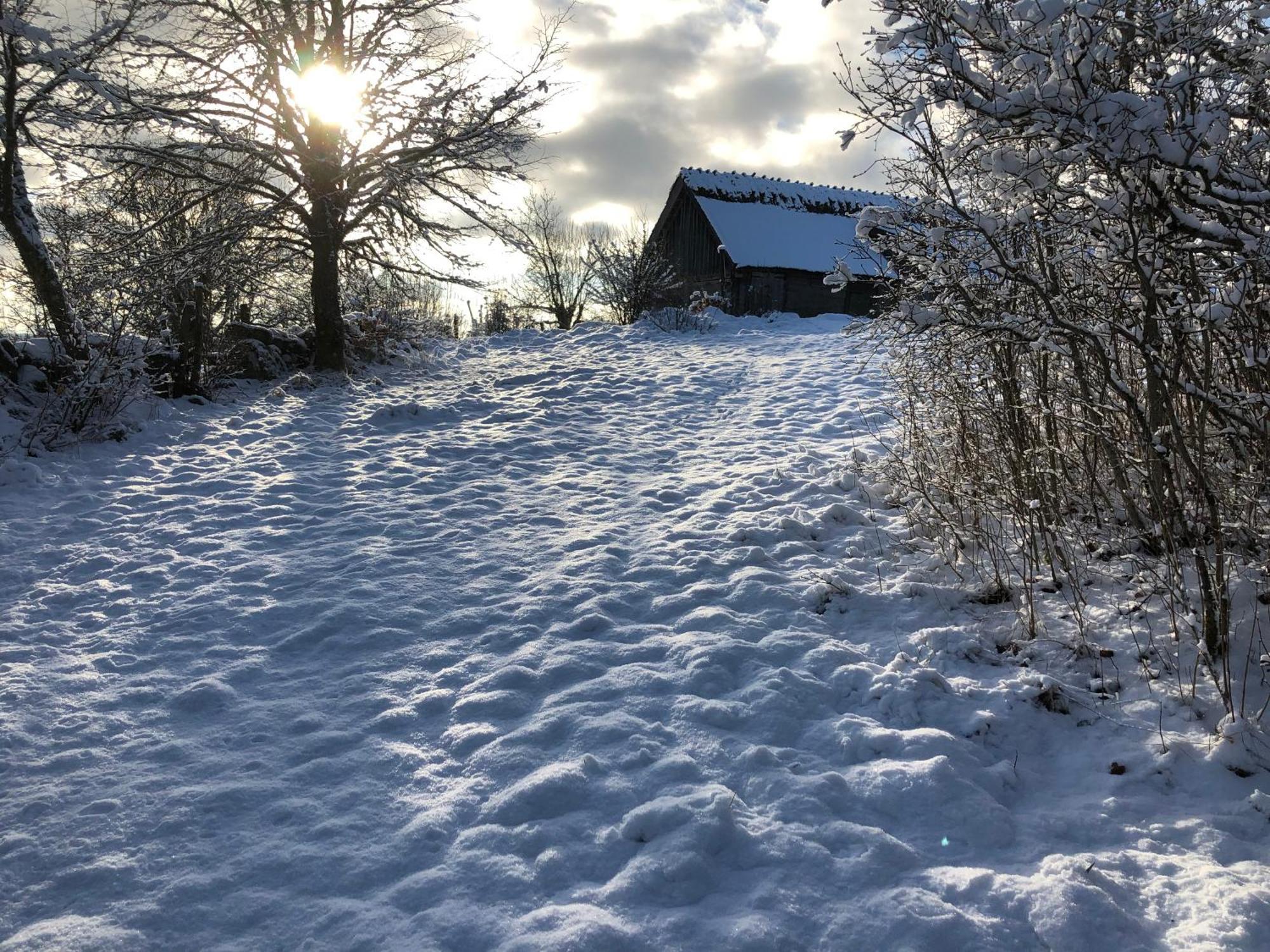Oevra Berg Villa Ullared Eksteriør billede